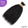 Kinky Straight Human Braiding Hair for Boho Braids Wet and