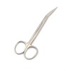 LAJA IMPORTS IRIS Scissors 4.5" Angled Sharp Sharp Points