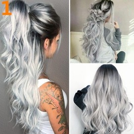 Perücke Prinzessin Damen Mädchen (gray and black)