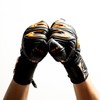 Genuine RG Goalie Gloves Aspro Black Out Japan Model 4