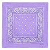 Laciteinterdite Set of 3 Paisley Bandanas for Men and Women,