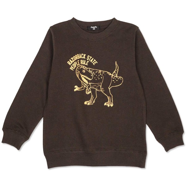 NARNAD 13010011-9 110-160 17 Brown 18 Oatmeal Long Sleeve Antibacterial Dinosaur Print Sweatshirt Children's Clothing for Kids Boys Girls, Braun