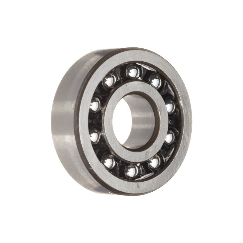 1204tv Self Aligning Ball Bearing, Double Row Open Polyamide/Nylon Cage,