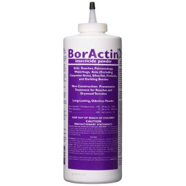 Rockwell Labs BAIP001 BorActin Insect Dust Insecticide, 1 lb, White