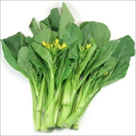 Fairy7Seas Seeds Asian Yu Choy / Choi Sum / Choy Sum / Chinese Flowering Cabbage - 100 Seeds