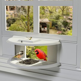 180 Window Bird Feeder for Ultimate Wild Bird Watching, Clear View, Indoor to Enhance Your Home/Office with Nature's Beauty by PVC