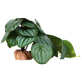 WOLEDOE Reptile Plants for Terrarium, Ball Python Tank Decor Accessories fit Bearded Dragon Crested Leopard Gecko Lizard Chameleon Snake Frog Tortoise Hermit Crab - Fake Calathea Orbifolia
