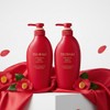 Tsubaki Premium Moist Repair Conditioner / 츠바키 프리미엄 모이스트 리페어 컨디셔너
