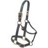 Weaver Leather Original Adjustable Chin and Throat Snap Halter, 1"