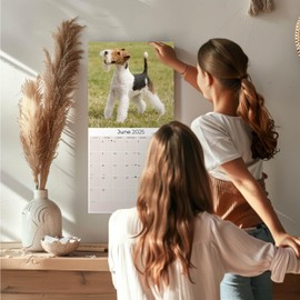 2024 2025 Fox Terrier Wirehaired Calendar - Dog Breed Monthly Wall Calendar - 12 x 24 Open - Thick No-Bleed Paper - Giftable - Academic Teacher's Planner Calendar Organizing & Planning - Made in USA