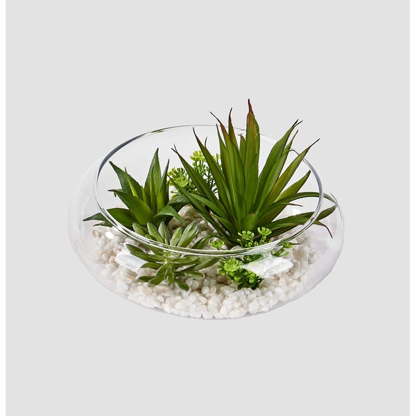 WORTH IMPORTS Artificial Dish Garden on Stones in 6" Glass Container Succulent, Green, White, Clear