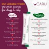 CARU Daily Dish Smoothies Chicken & Salmon Recipe Lickable Treat