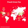 Spindrift Brewed Iced Tea, Peach Green Tea, Made with Real