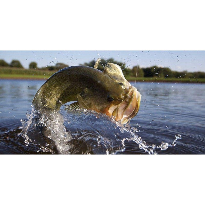 Purina | Game Fish Chow - Floating Diet for Pond
