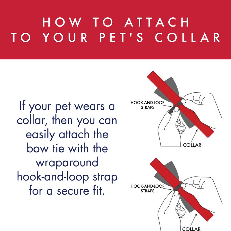 Huxley & Kent Pet Bow Tie | Lime Madras (Extra-Large)