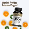 Windmill Vitamin C-1000 Tablets Sustained Release 100 Tablets