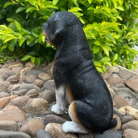 halp·ssfm Solar Garden Statues Dog Figurine with LED Light Lantern Outdoor Art Decor for Patio Lawn Yard Housewarming Home Ornaments Gifts for Dog Lovers Mom Grandma Women