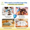 LovinPet Dog Recovery Suit for Large Medium Dogs - Wound