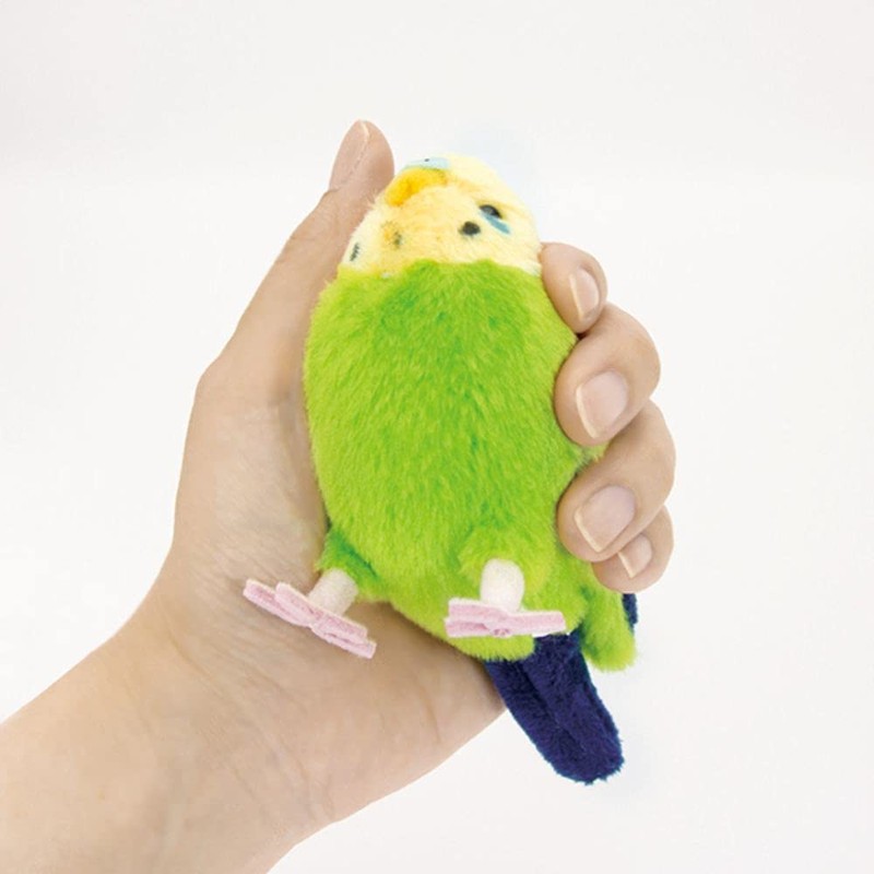 Kotorinone Budgerigar, Green 180091