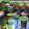 8Pack Lily Plant Pots for Pond, Thickened Nonwoven Plant Fabric