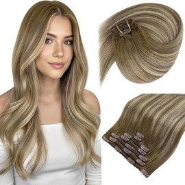 Sunny Hair Clip in Hair Extensions Straight Human Hair Clip in Extensions Remy Clip in Hair Extensions Real Human Hair Extensions Clip ins Ombre Walnut Brown to Light Brown Blonde 14inch