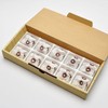 Kuriya Nanyoken Gifu Nakatsugawa 100% Chestnut Kinton, Pack of 10