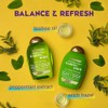OGX, Shampoo Extra Fuerte de Tea Tree y Menta, 385