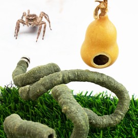 FlidRunest Jumping Spider Gourd Hide, 2 Pack Bendable Jumping Spider Climbing Vine with Magnets, Jumping Spider Enclosure Accessories Kit, Pet Spider Habitat Hideout
