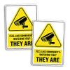 2 x 25cm Tall Funny Security Camera Sign Vinyl Stickers
