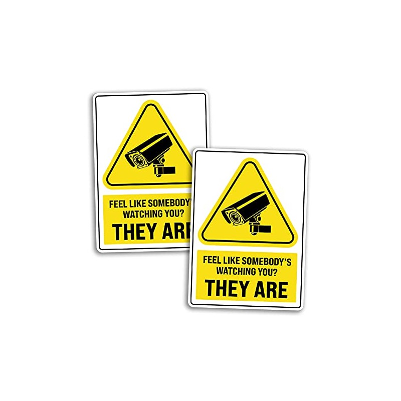 2 x 25cm Tall Funny Security Camera Sign Vinyl Stickers