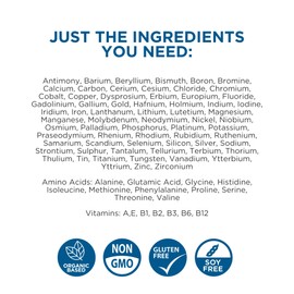 BEAM MINERALS BEAM MINERALS Travel Pack | Electrolyte & Micronutrient Support On-The-Go | Micro-Boost 2 oz, Electrolyze 2 oz & Insta-Lytes 2 oz