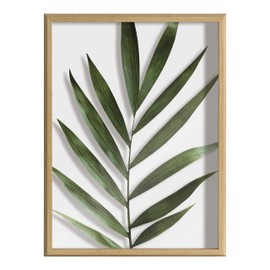 Kate and Laurel Blake Botanical 5F Framed Printed Glass Wall Art by Amy Peterson Art Studio, 18x24 Natural, Modern Wall Decor Inspired by Nature