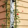 Achla Designs Downspout Wrought Iron Garden Trellis