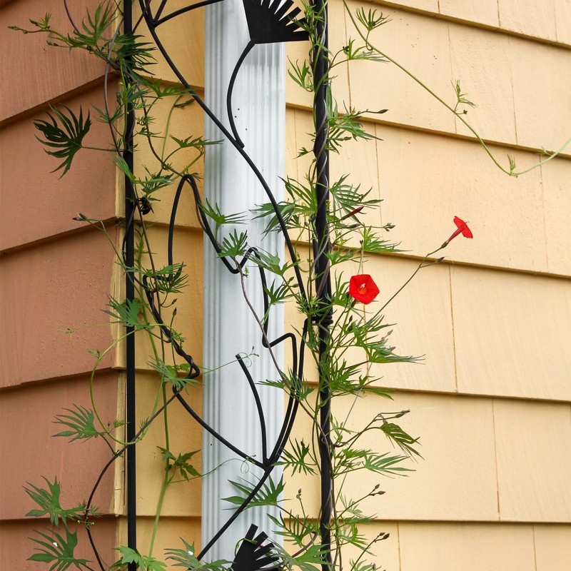 Achla Designs Downspout Wrought Iron Garden Trellis