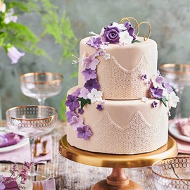 FunCakes Pasta di ZuccheroRoyal Purple: facile da usare, liscia, flessibile, morbida e pieghevole, perfetta per la decorazione di torte. Senza glutine. 250 gr