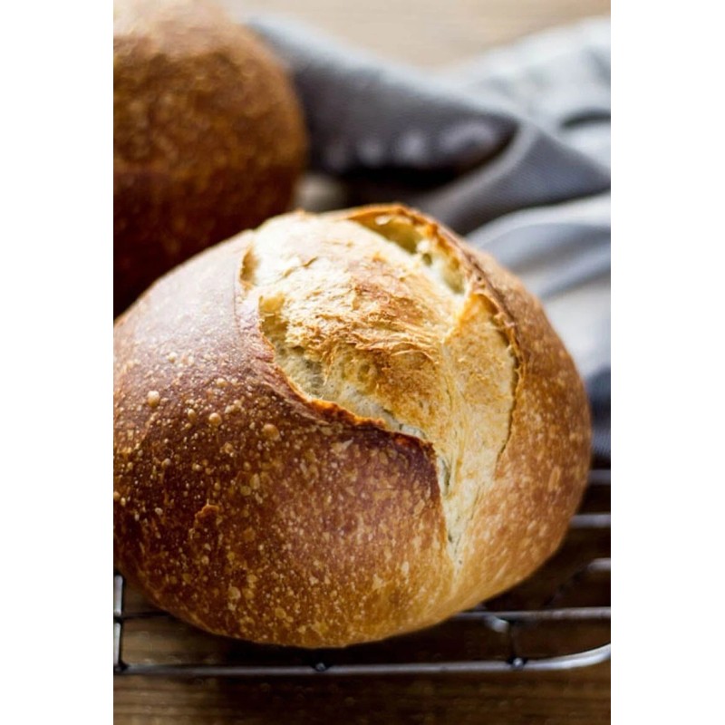 Heritage Sour SOURDOUGH STARTER DEHYDRATED 3rd Generation ITALIAN - 15