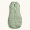 ErgoPouch Cocoon Swaddle Sleeping Bag 2.5 Tog - Willow, 000