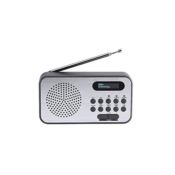 Radio Dab (Rt225dab) + FM 60 Station Memory Alarm Function