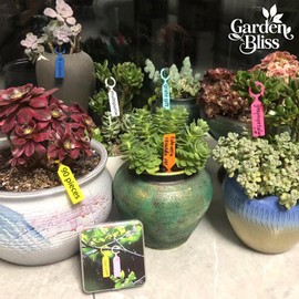 90 pcs, Colorful Plastic Tags with Rings, 4.1 * 0.8 Inch Waterproof Labels for Plants, Backpacks, Luggage-Durable,Writeable Markers for Home,Garden,Travel， with Storage Box and Marker Pen.