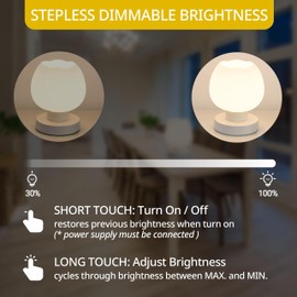 ECOESPTI Touch Bedside Lamp, Mini Stepless Dimmable Table Lamps for Bedroom for Night Stands, Small Desk Lamp with Brightness Memory, USB Charging Ports, Warm LED Bulb, White, Flower Shape, 1 Set