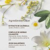 Tónico Facial De Caléndula The Face Shop Skincare K-beauty