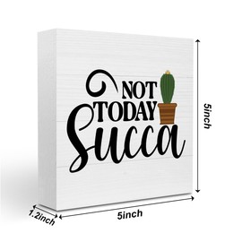 Funny Schedule Reminder Plants Sign Cute Plants Sign Decor Decorations for Home Office Garden Greenhouse Desk Decor Inspirational Office Gift for Coworker Friend Plant Lover