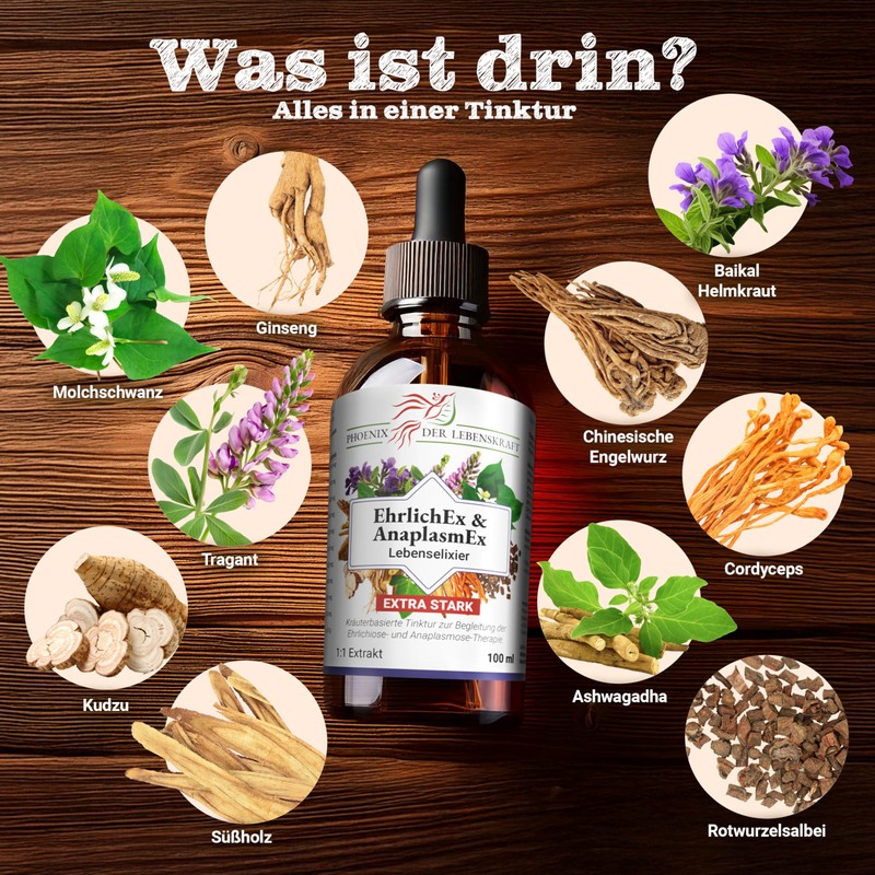 Phoenix der Lebenskraft EhrlichEx & AnaplasmEx Life Elixir - Herbal