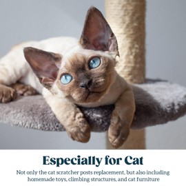 Natural Sisal Rope for Cat Scratcher 1/4 Inch by 100 Feet, Cat Tree Rope Twine for Cat Scratching Post Replacement, Cat Tower with Scratch Post Repairing, Replace, Recovering and DIY, Natural