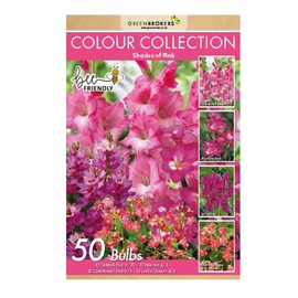 GreenBrokers GreenBrokers Colour Collection Summer Flowering Bulbs Pink, Mixed Varieties (Pack of 50) Bee & Butterfly Friendly