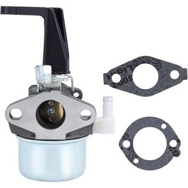 Caalii 696065 Vergaser Ersatz 215369 697422 für Brigs and Straton 110402 110412 6HP 6,5HP 5HP 5,5HP 7HP Generator Intek Motor Pinne Wasserpumpe Vergaser mit Befestigungsdichtungen
