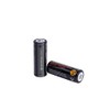 Portfolio 18500 3.2-Volt Rechargeable Lithium Landscape Lighting Batteries