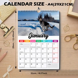 Dogs Pooping in Beautiful Places Calendar 2025, Funny Dogs Pooping Calendar Silly Gifts, Rude Christmas Birthday Secret Santa Ideas Wall Monthly Calendar Planner Presents for Men Women - A4