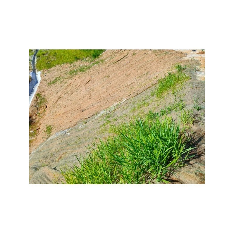Farm Plastic Supply - Double Net Straw Erosion Control Blanket