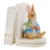 Beatrix Potter Peter Rabbit Book Stop